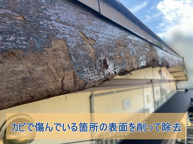 カビで傷んでいる箇所の表面を削った様子